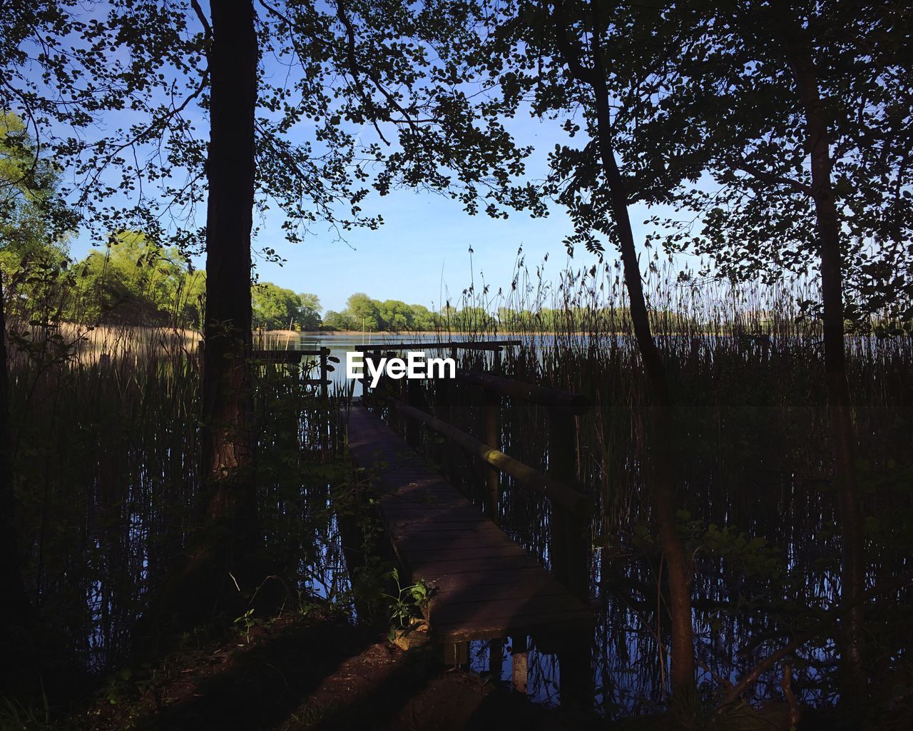 Scenic view of lake surrounded by trees against blue sky