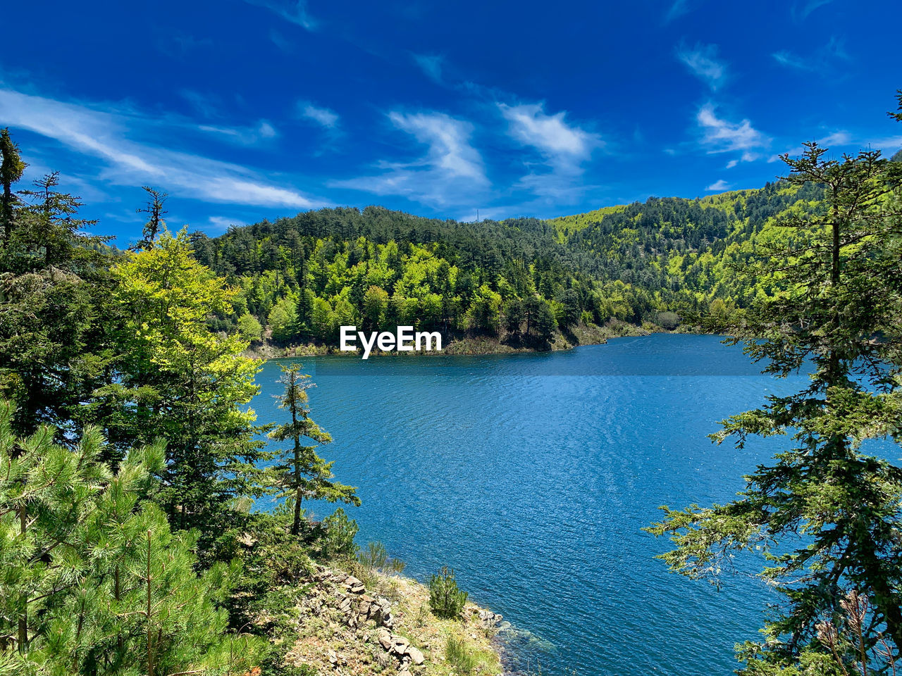 Scenic view of lake in forest against sky