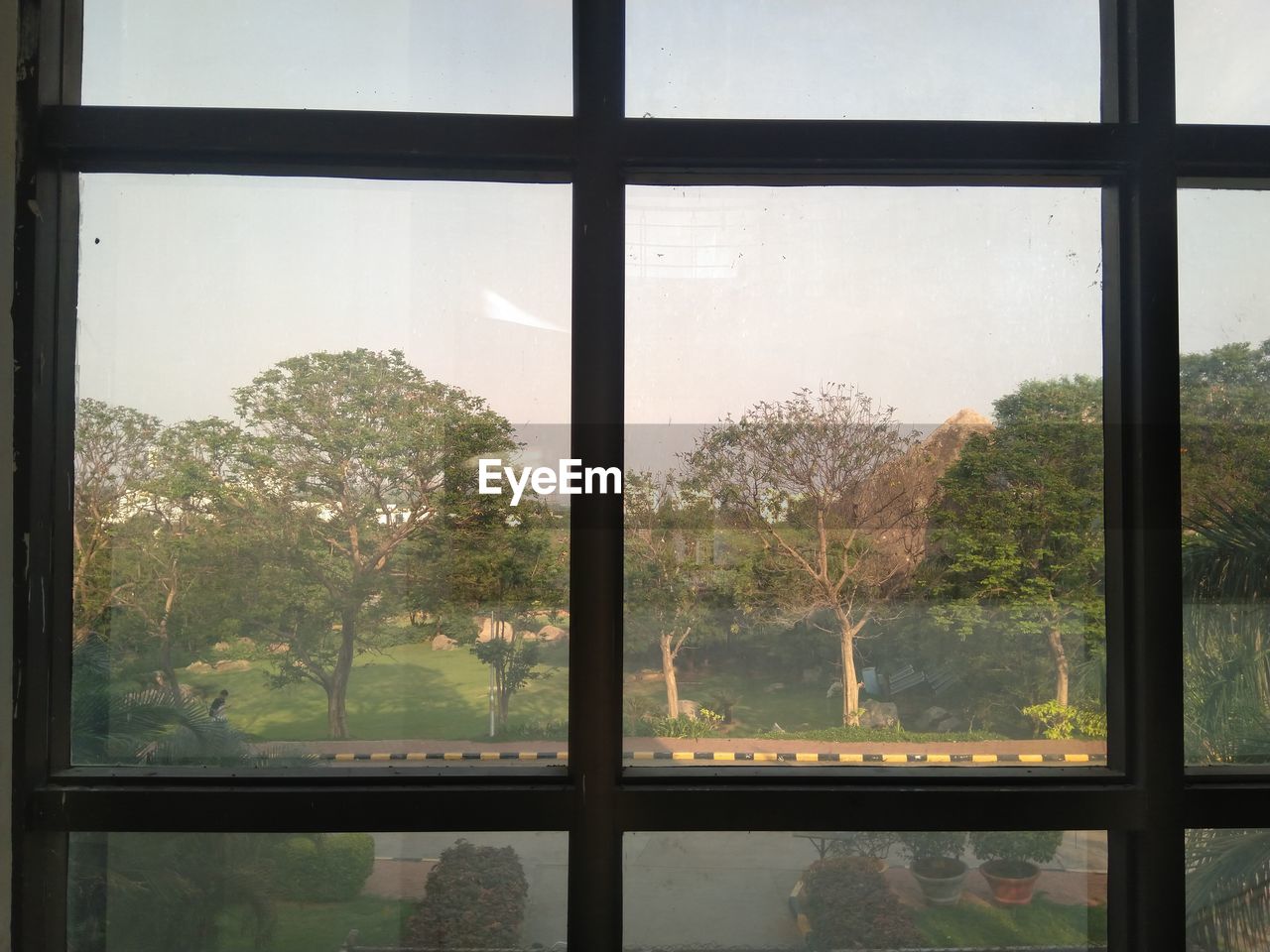 window, tree, glass, plant, transparent, indoors, nature, window covering, no people, architecture, day, sky, interior design, window frame, building, sash window, looking through window, beauty in nature, wall, built structure, growth, house, scenics - nature, environment