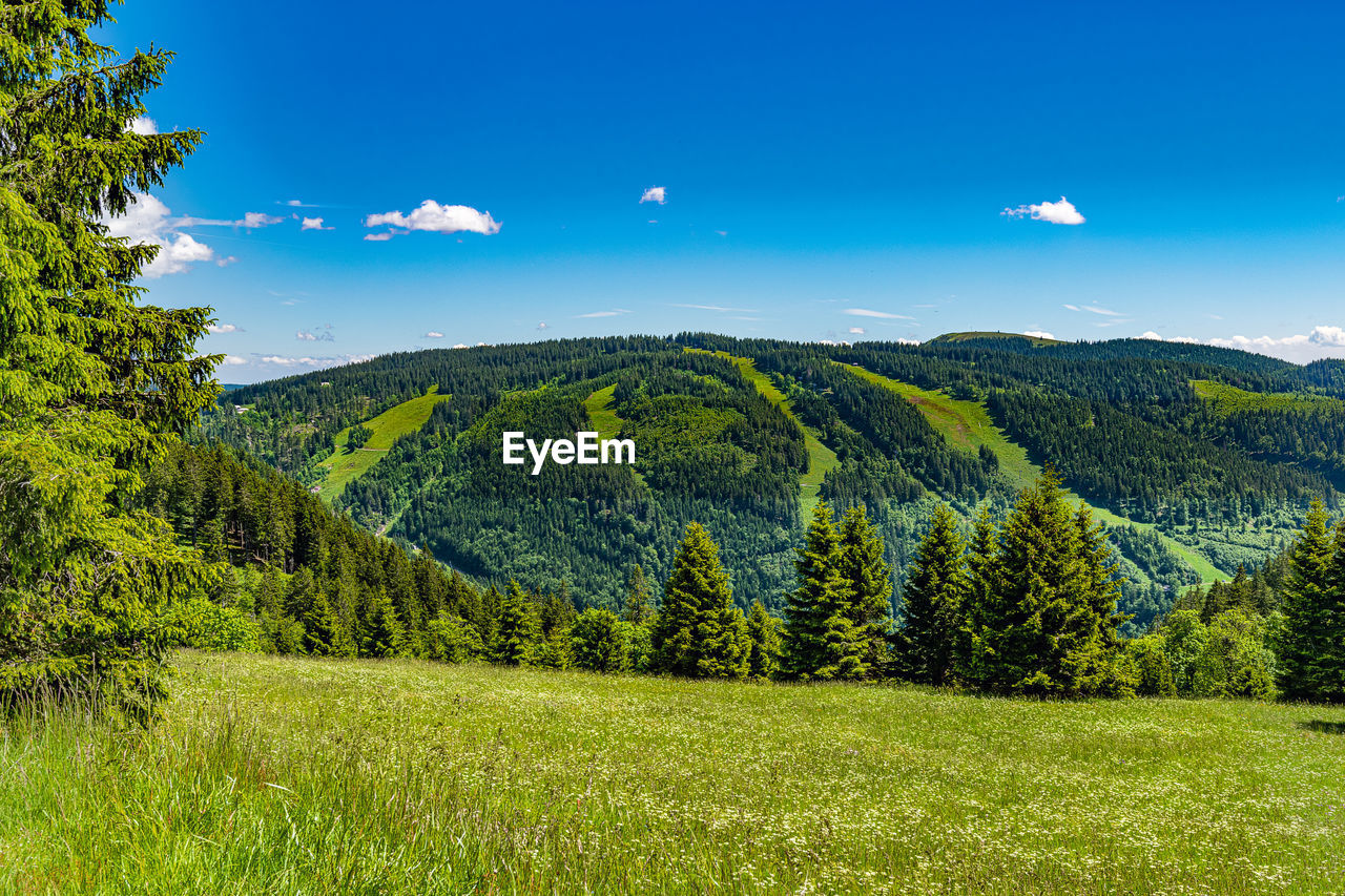 SCENIC VIEW OF LAND AGAINST SKY