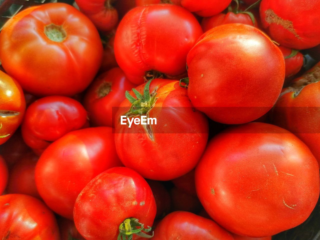 High angle view of tomatoes for sale at market