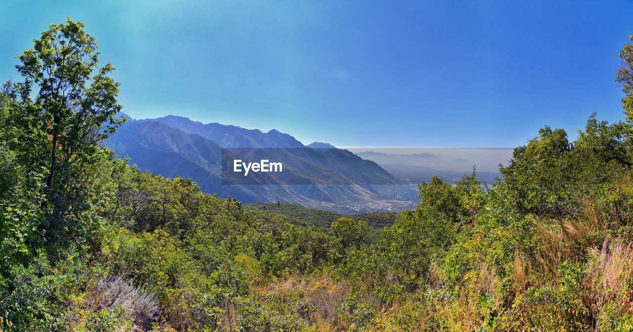 wilderness, mountain, nature, plant, forest, scenics - nature, tree, environment, landscape, beauty in nature, sky, land, ridge, autumn, natural environment, meadow, mountain range, no people, coniferous tree, pine tree, pinaceae, travel destinations, travel, tranquility, non-urban scene, outdoors, tranquil scene, blue, leaf, pine woodland, cloud, green, woodland, tourism, panoramic, day, trail, mountain peak, valley, activity, adventure, growth, idyllic