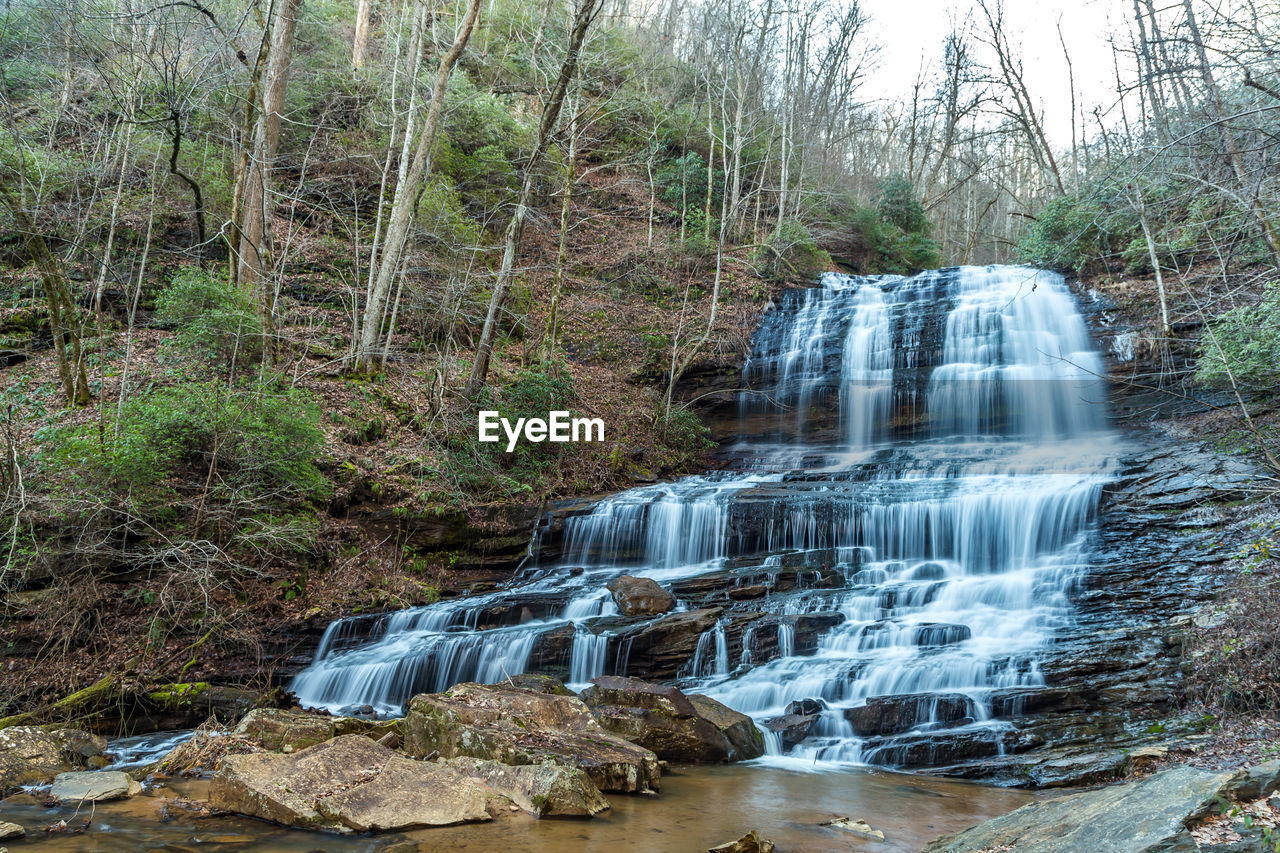 Waterfall in forest