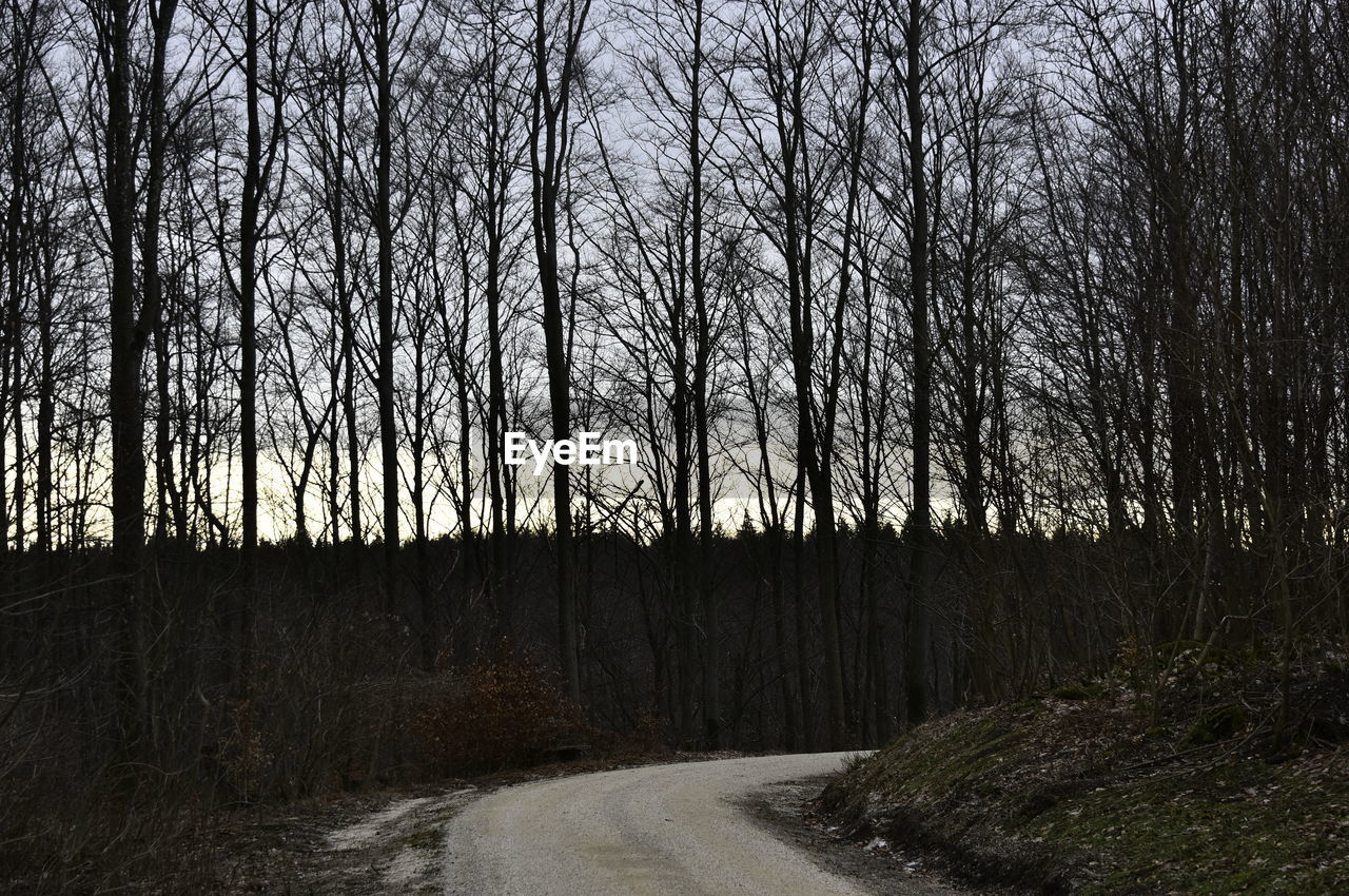 ROAD AMIDST BARE TREES IN FOREST AGAINST SKY DURING SUNSET