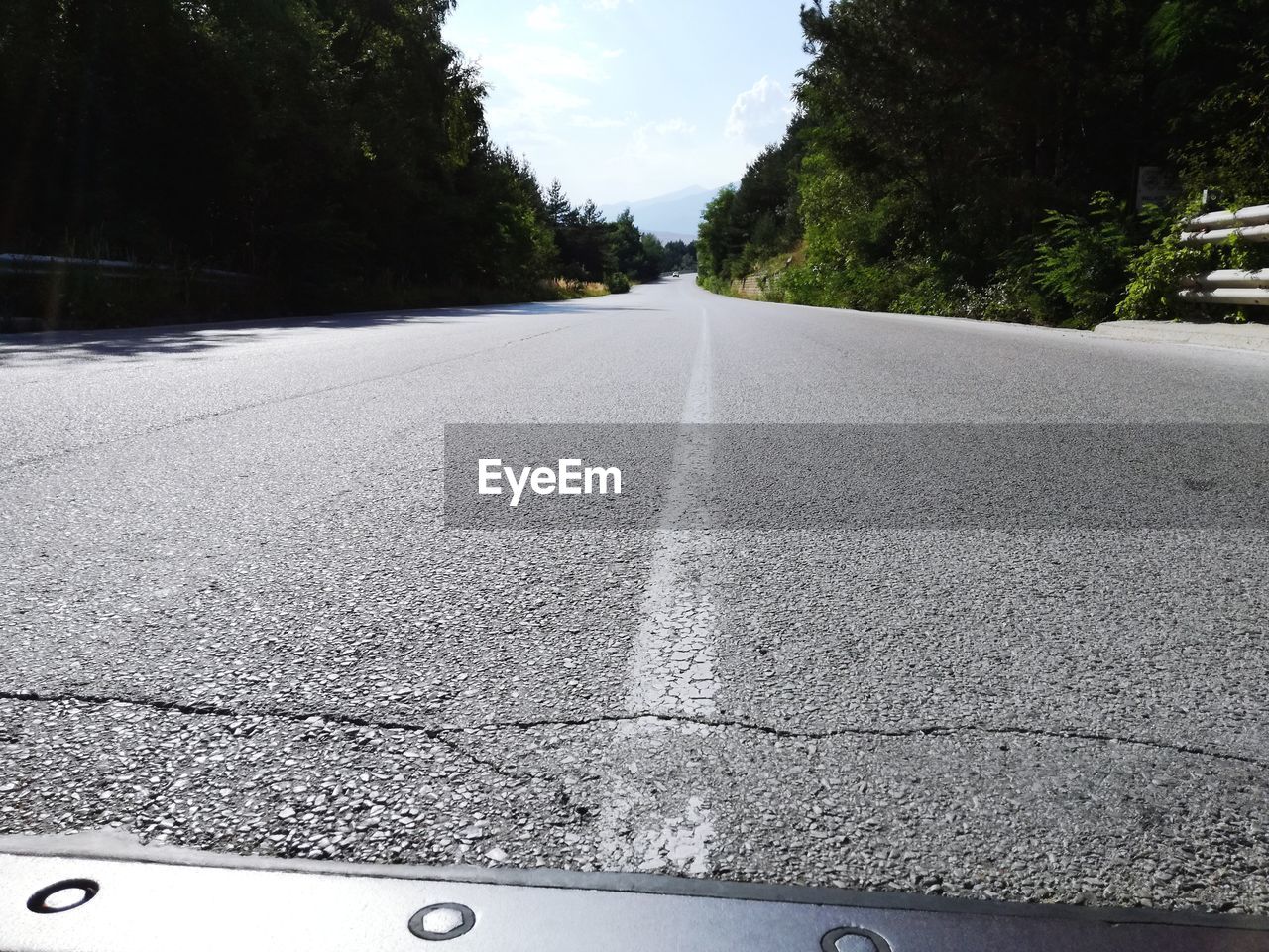 CLOSE-UP OF ROAD AGAINST TREES