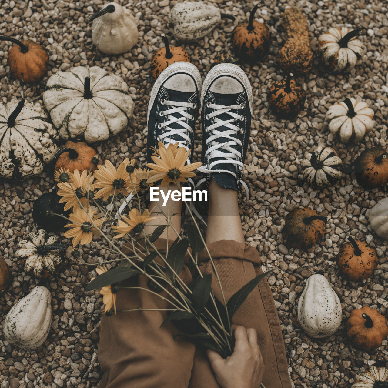 Low section of woman on ground with pumpkins