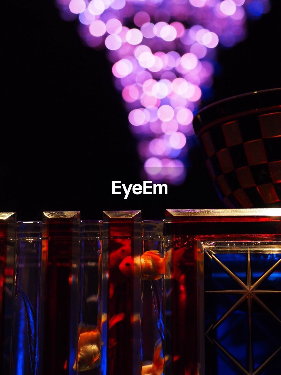 Defocused lights above fish in aquarium during night