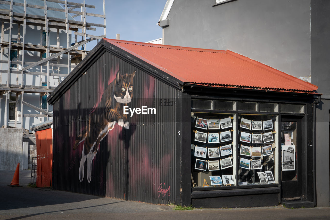 House with nice cat graffiti 