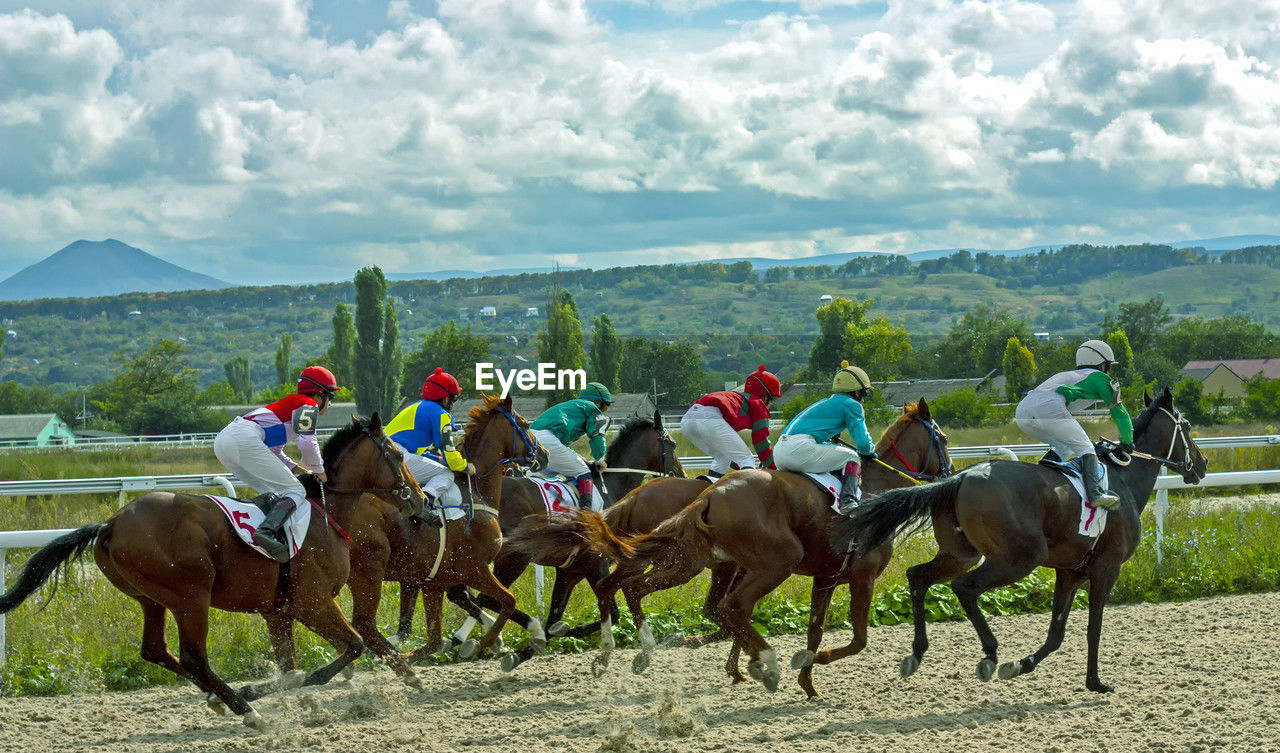 The horse race of the prize in honor of the tokov equestrian dynasty,northern caucasus.