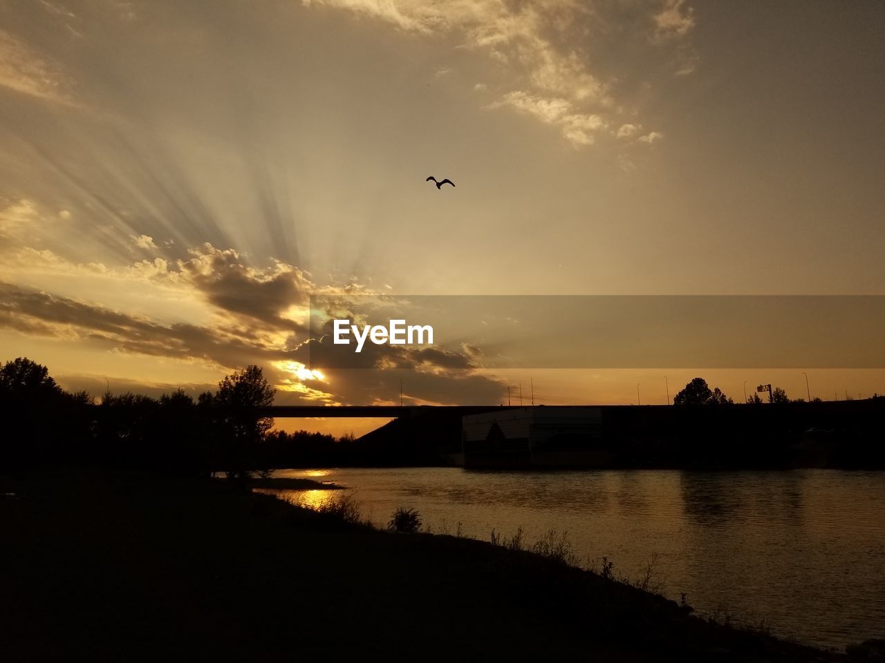 SILHOUETTE BIRDS FLYING OVER LAKE AGAINST SKY