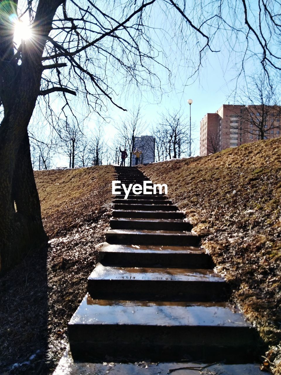 LOW ANGLE VIEW OF STAIRCASE AMIDST BARE TREES AGAINST CLEAR SKY