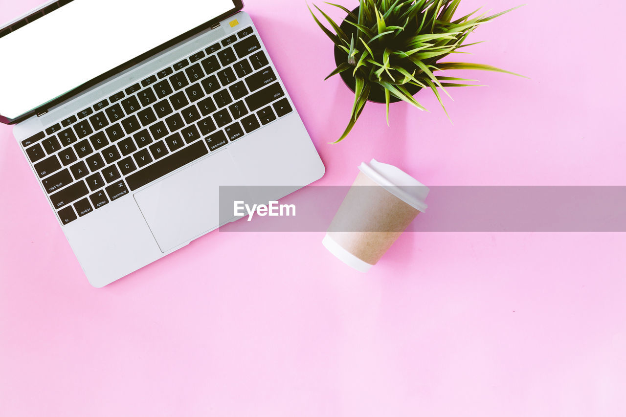 High angle view of laptop by potted plant on table