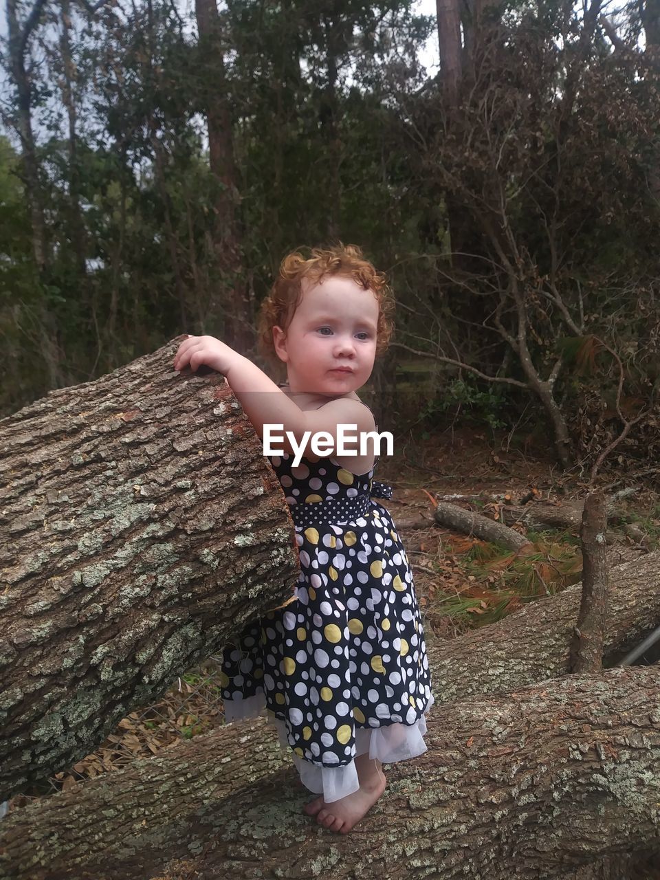 Close-up of girl standing fallen tree in forest