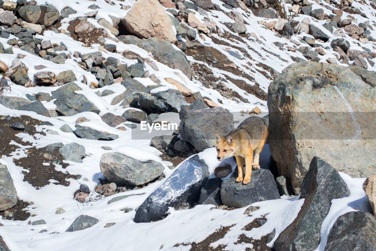 SNOW ON ROCKS