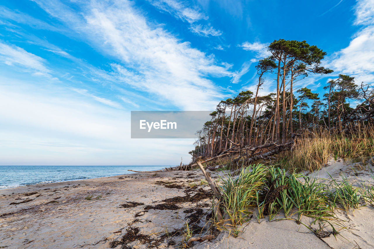 panoramic view of beach against sky