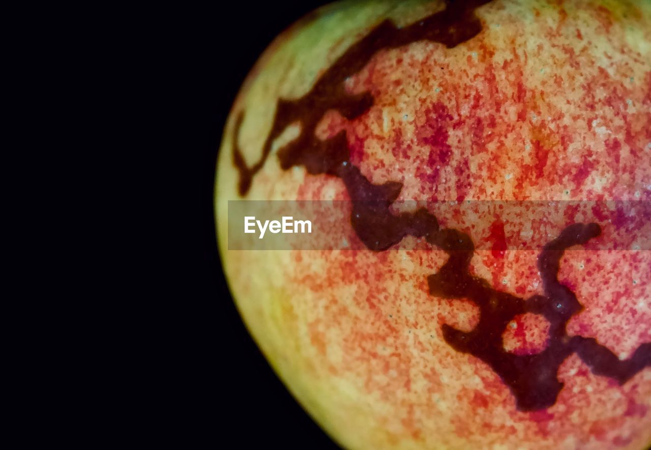 Close-up of apple against black background