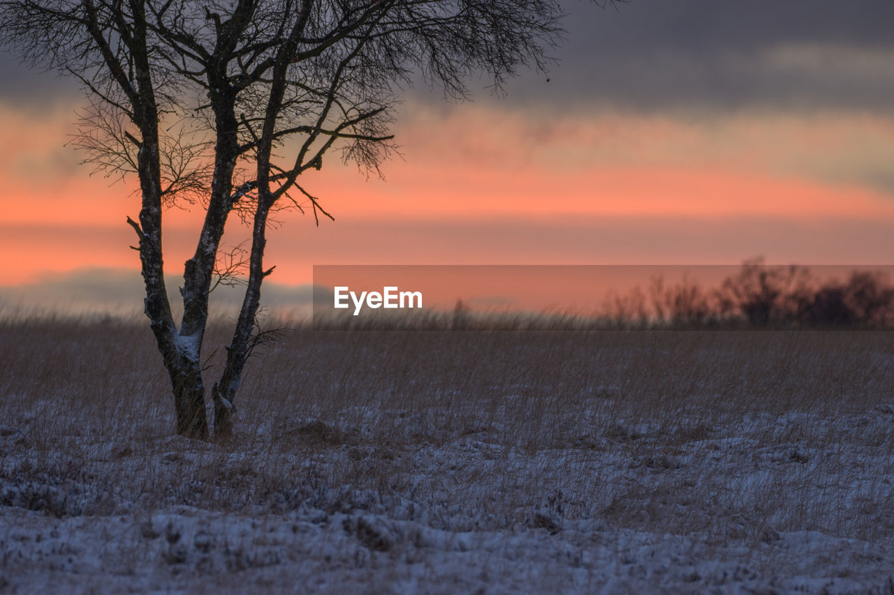 Scenic view of snowy high fens against dramatic sky during sunset in ardennes belgium