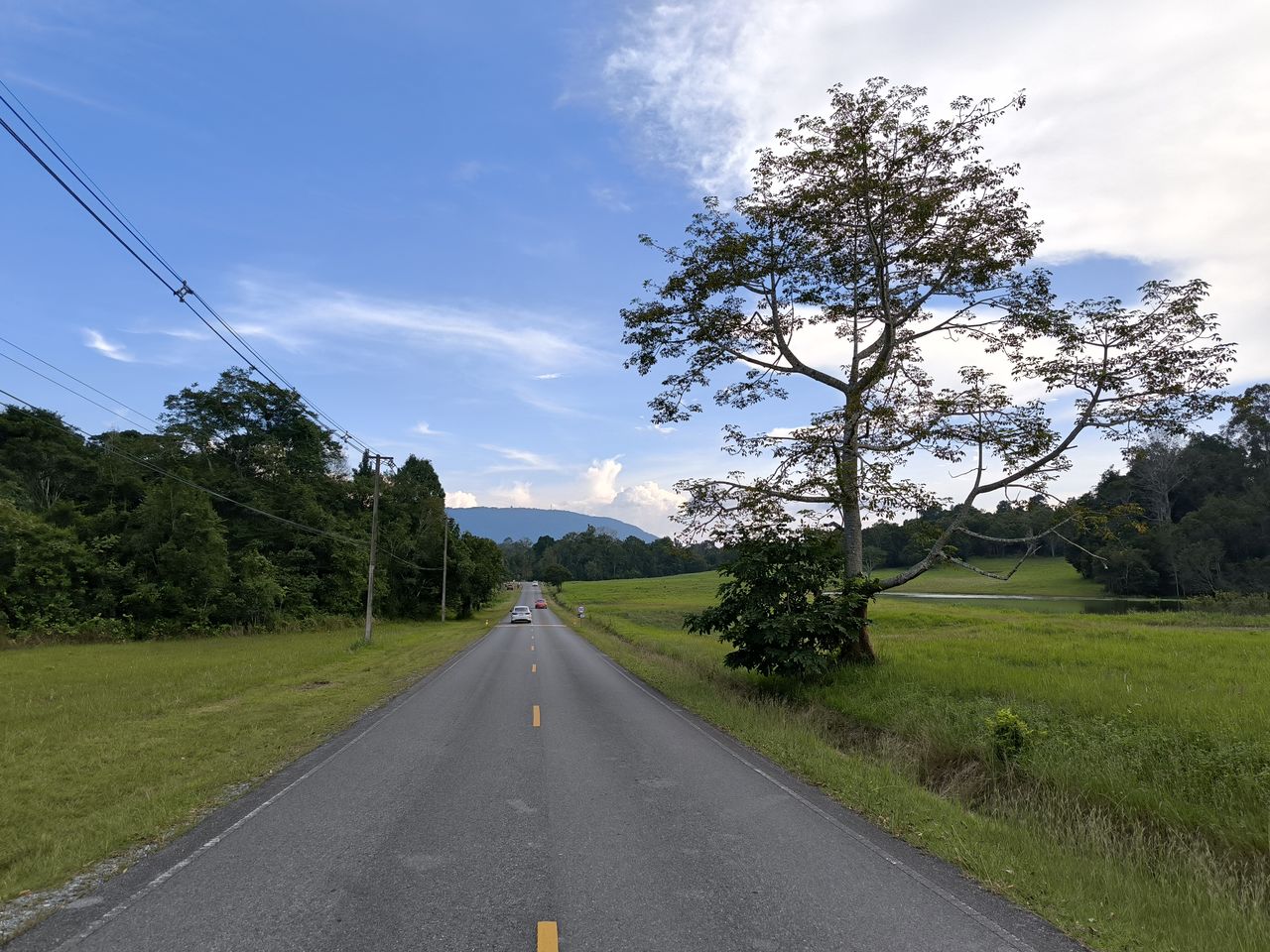 road, sky, plant, tree, transportation, cloud, landscape, nature, environment, the way forward, scenics - nature, diminishing perspective, beauty in nature, grass, land, no people, rural area, vanishing point, travel, rural scene, non-urban scene, tranquility, highway, outdoors, green, day, tranquil scene, country road, symbol, street, field, blue, infrastructure, road marking, travel destinations, mountain, empty road, remote, sign, asphalt, lane, marking, road trip