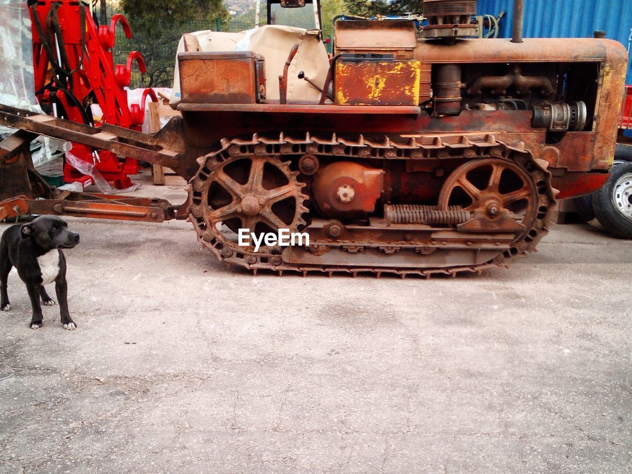 HORSE CART ON TRAIN AT STATION