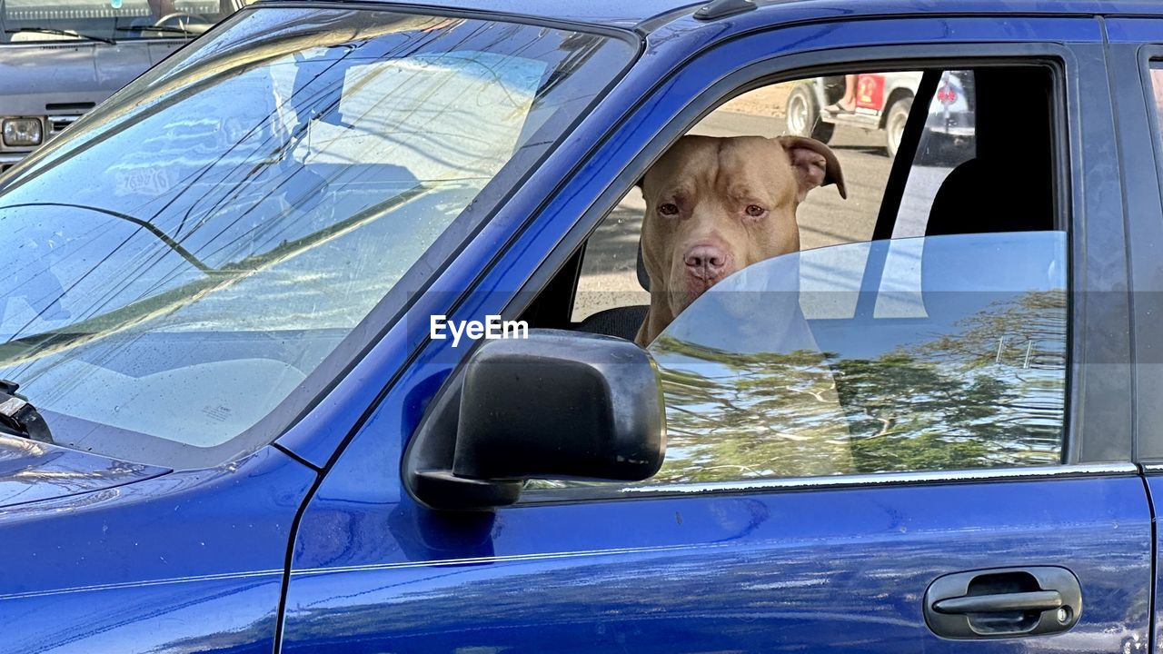 mode of transportation, transportation, car, motor vehicle, vehicle, one person, window, city car, land vehicle, adult, headshot, portrait, day, glass, windshield, automotive exterior, reflection, driving, travel, men, person, automobile, outdoors, looking, sitting, wheel, blue