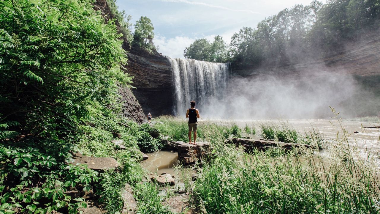 Rear view of man looking at waterfall in forest