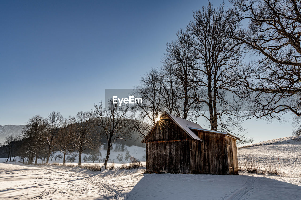 A barn, bare trees on snow covered field against clear blue sky