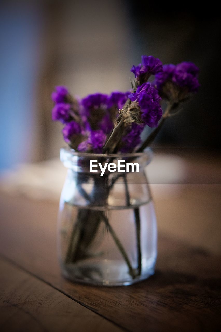 Close-up of purple flower in vase on table