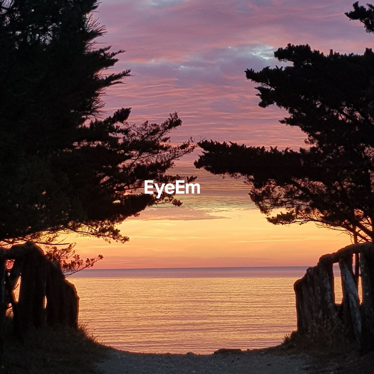 SILHOUETTE TREES BY SEA AGAINST SKY DURING SUNSET