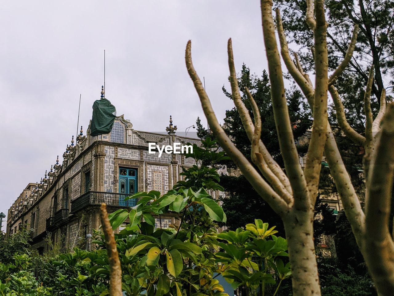 plant, architecture, tree, built structure, nature, building exterior, sky, flower, travel destinations, history, building, no people, the past, travel, cloud, growth, low angle view, outdoors, tourism, environment, garden, city, tropical climate, day