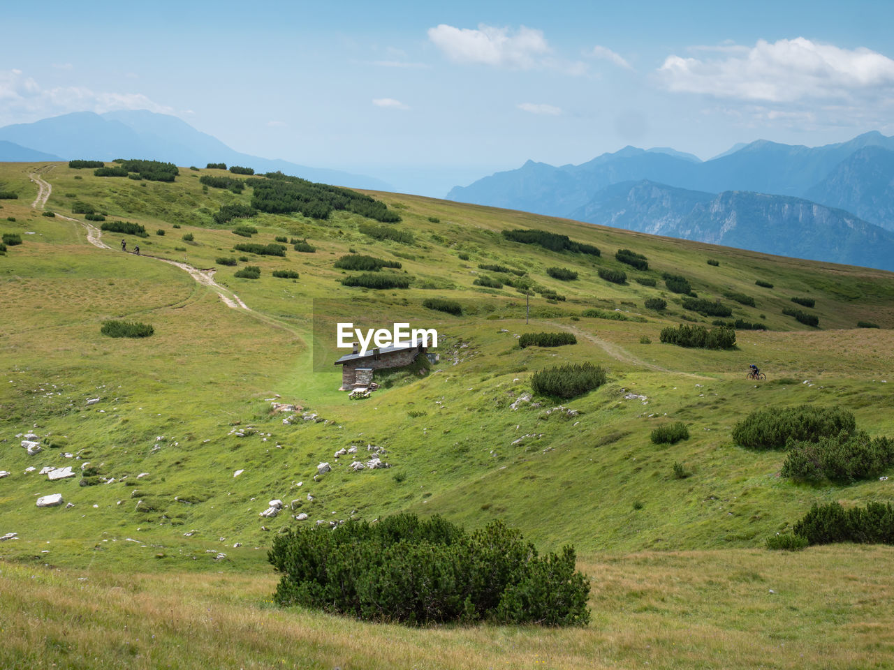 Summer meadow close to peak of gazza mountain above andalo town.  vezzano region, trentino, italy