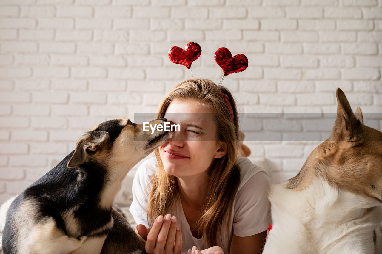 Lovely pet. young woman with her cute mixed breed dog at home having fun and kissing, funny picture