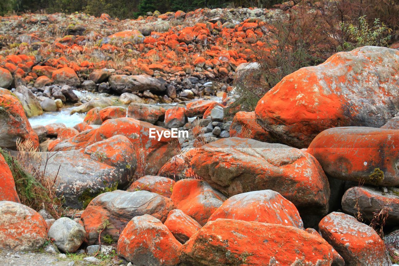 Full frame shot of rocks