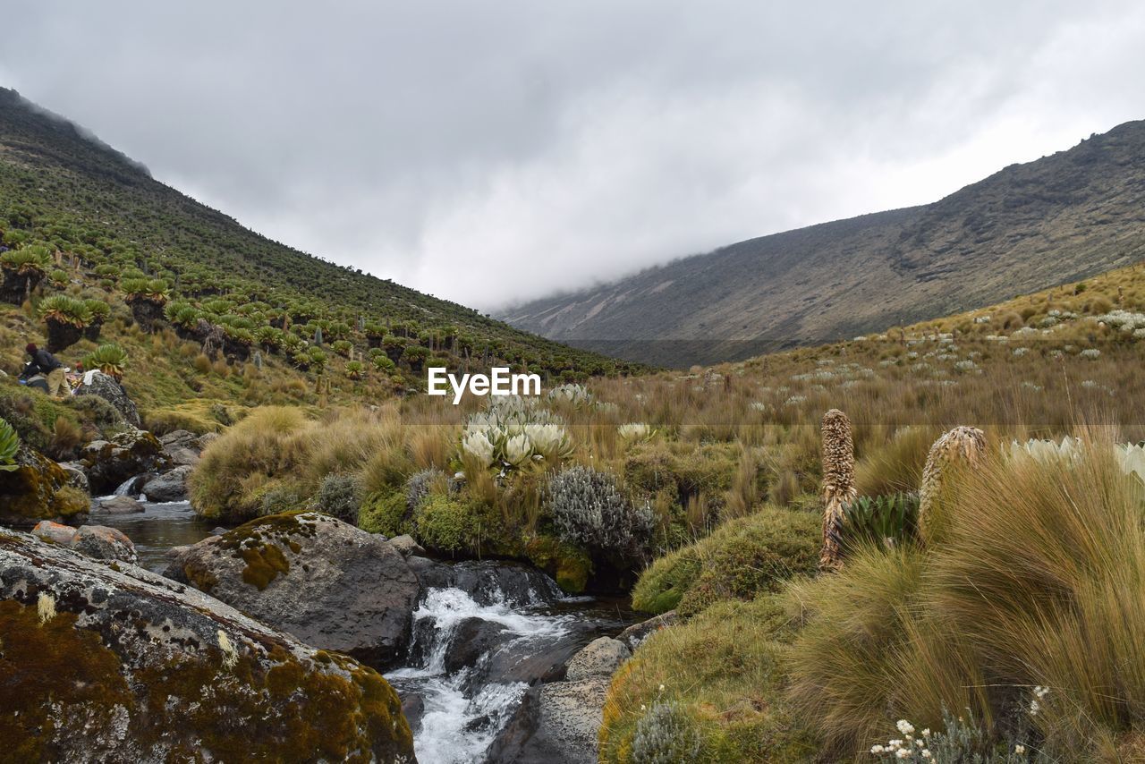 Scenic view of mountains against sky, mount kenya national park 