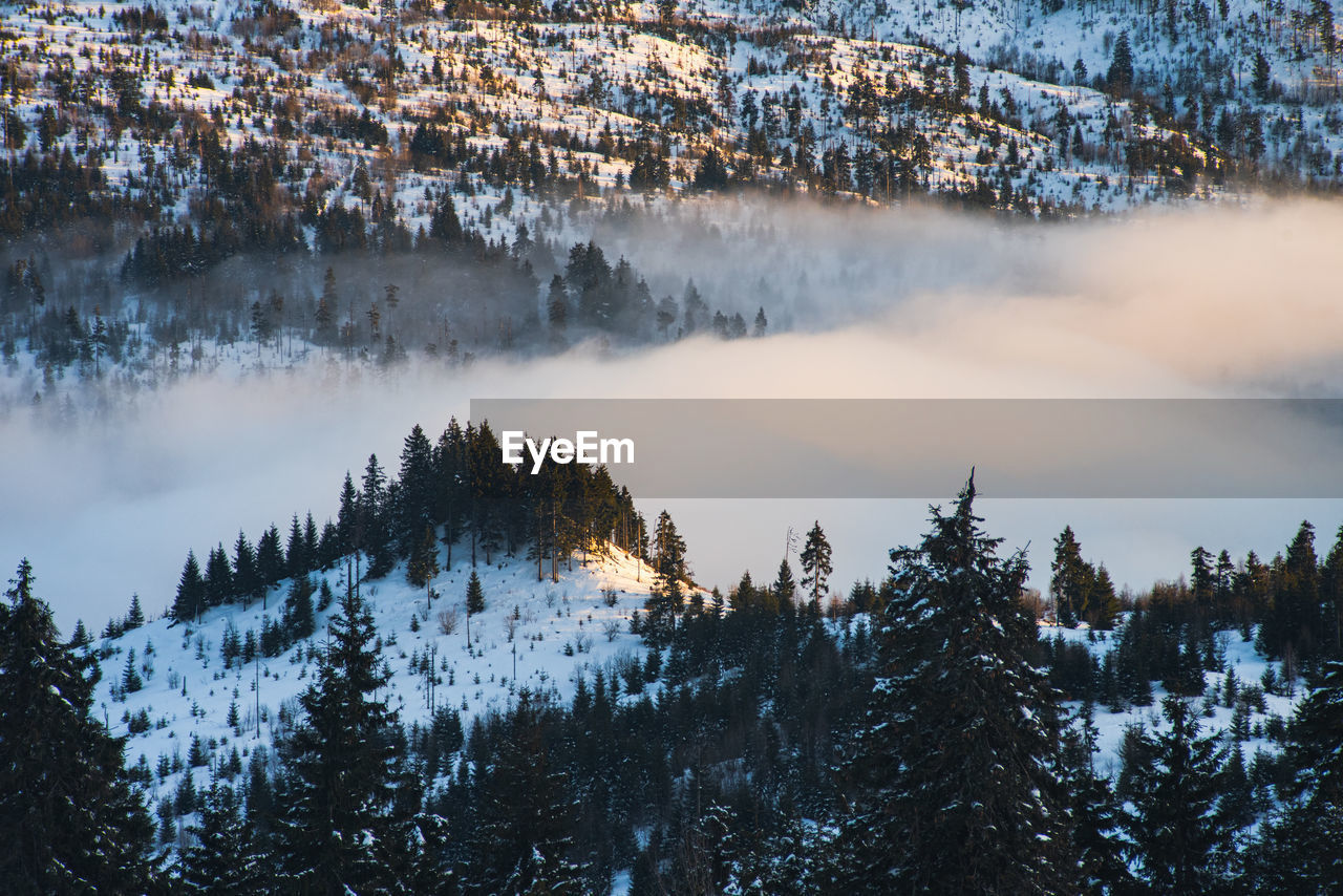 PANORAMIC VIEW OF SNOW COVERED LAND AGAINST SKY