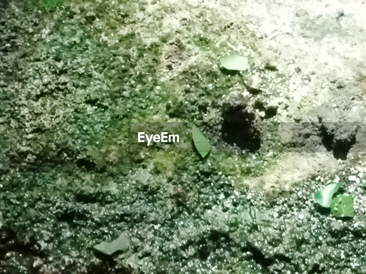 HIGH ANGLE VIEW OF A WATER