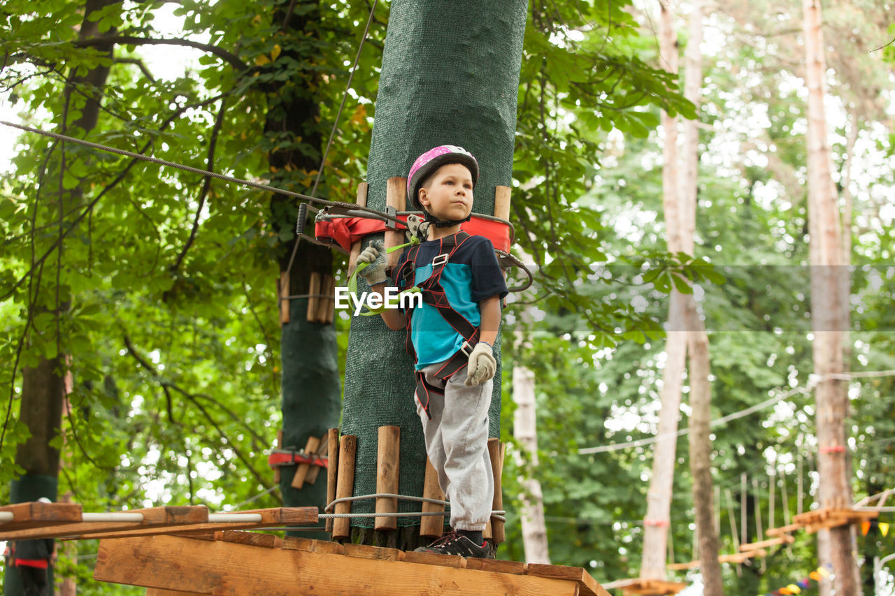 LOW ANGLE VIEW OF BOY HOLDING ROPE AGAINST TREE