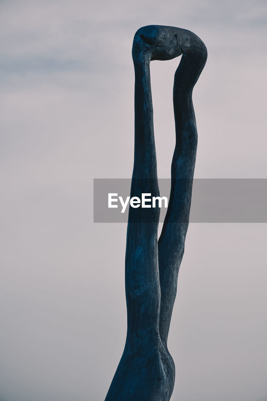 Close-up of frozen tree against sky during sunset