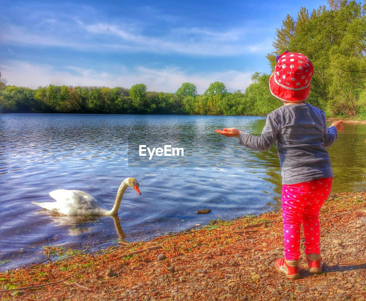 Rear view of girl standing by duck on lakeshore