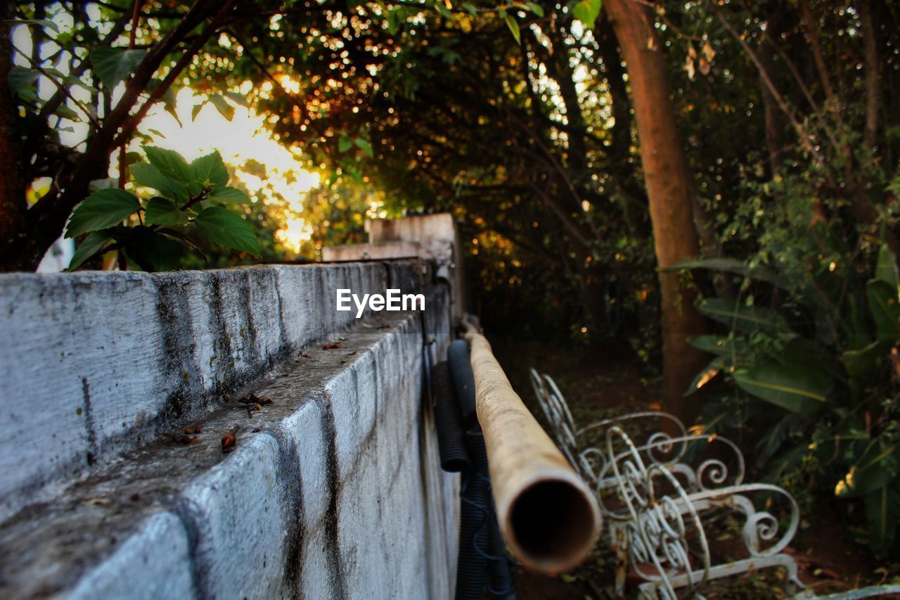 Close-up of hollow pole hanging in the side of a white wall by trees within a garden.