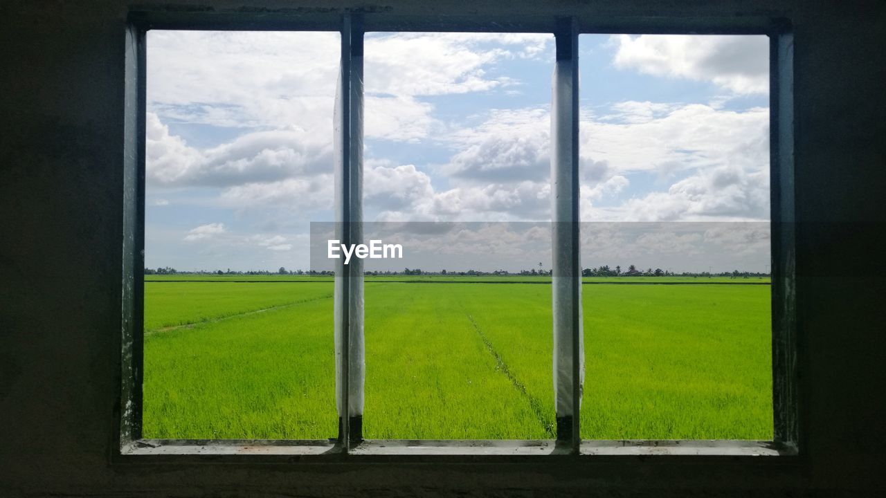 GREEN FIELD SEEN THROUGH WINDOW