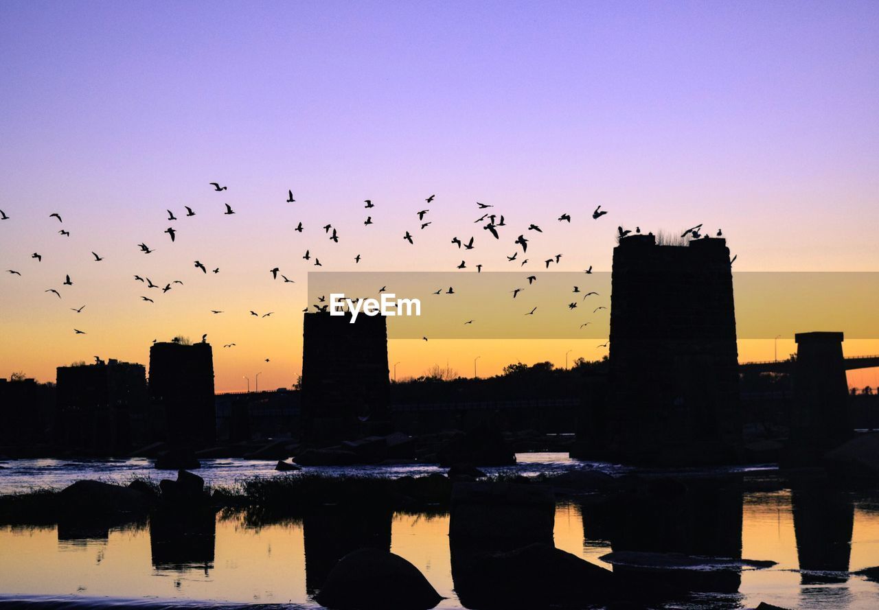 BIRDS FLYING OVER WATER DURING SUNSET