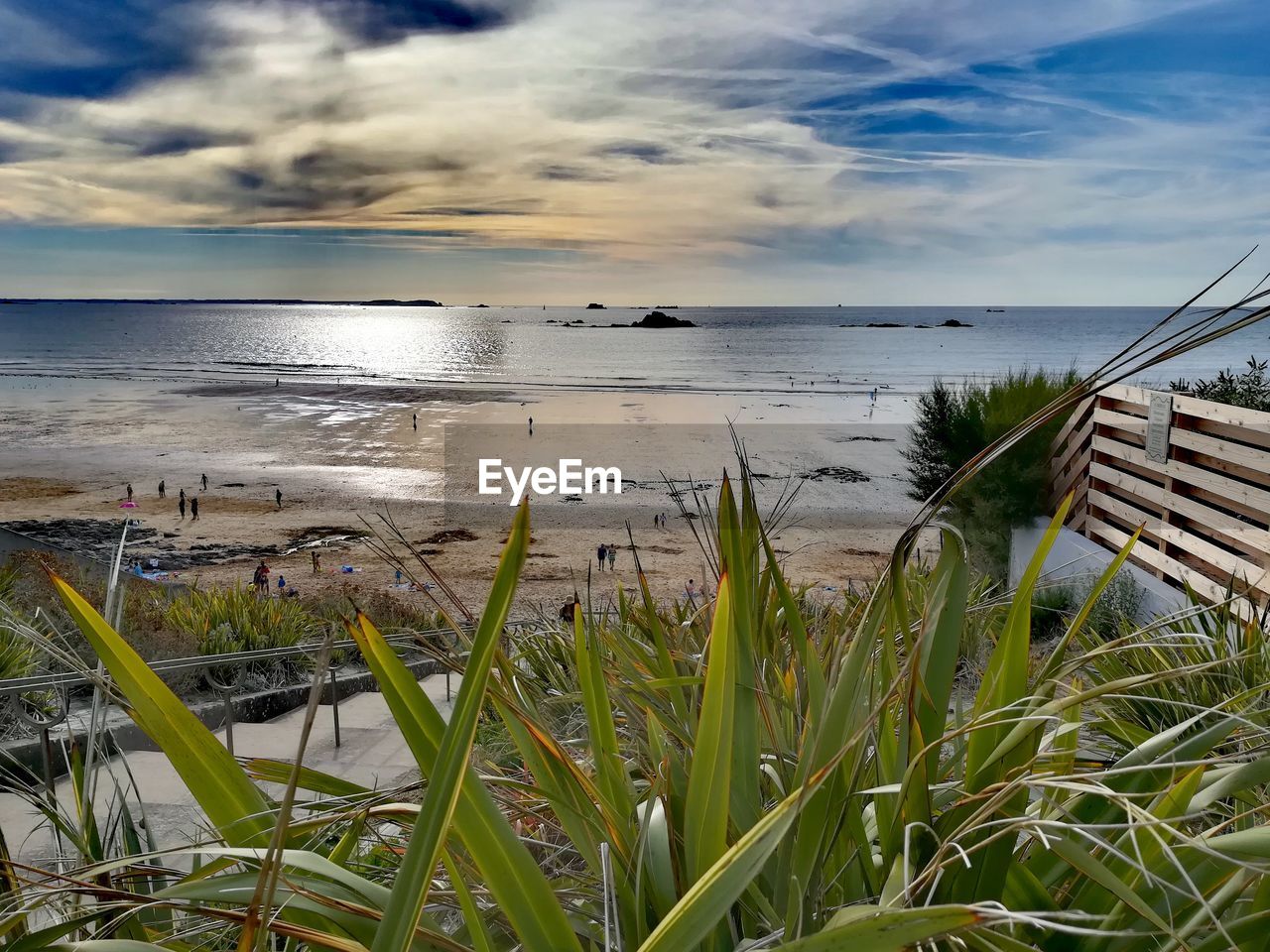 GRASS GROWING ON BEACH AGAINST SKY