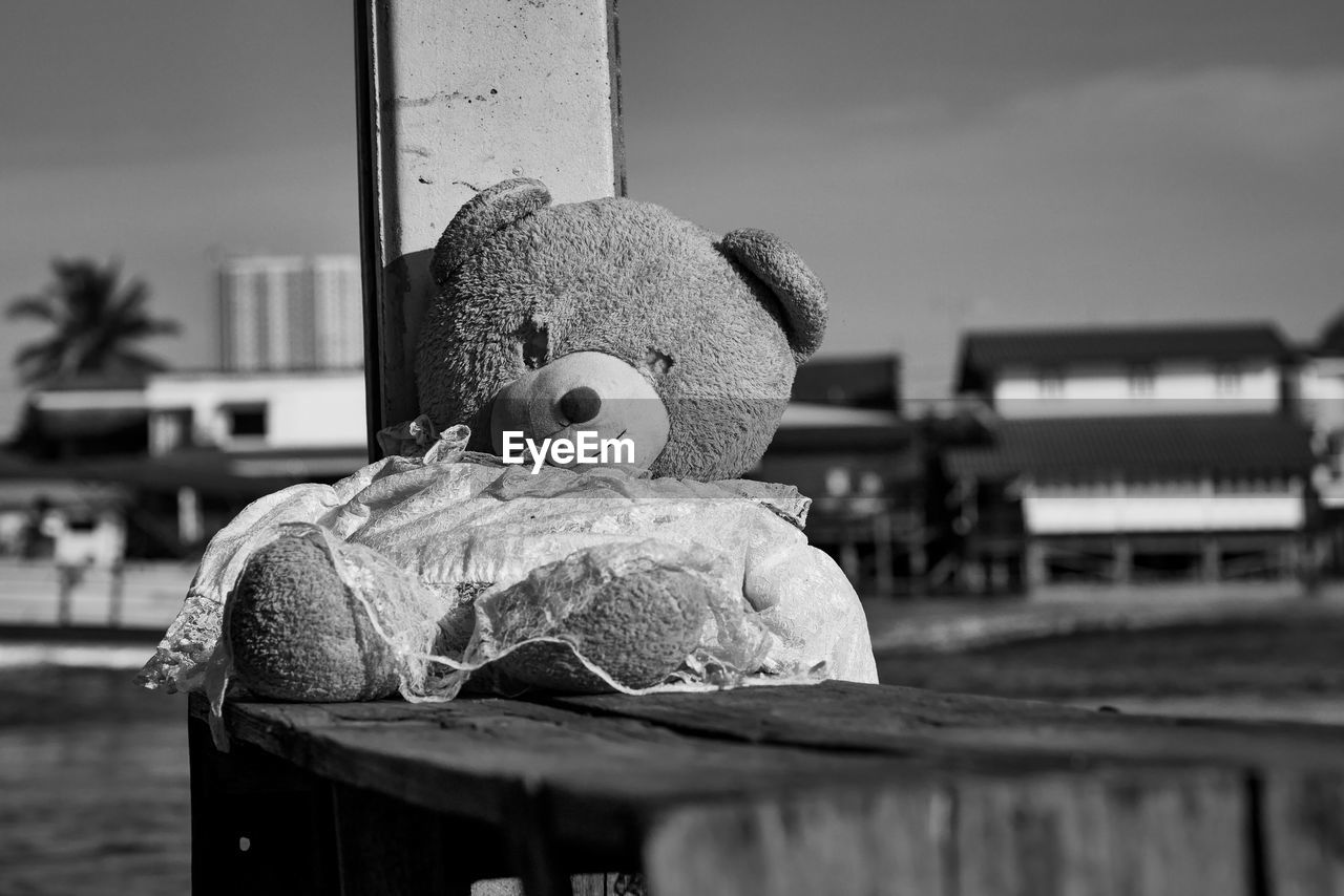 CLOSE-UP OF STUFFED TOY ON TABLE