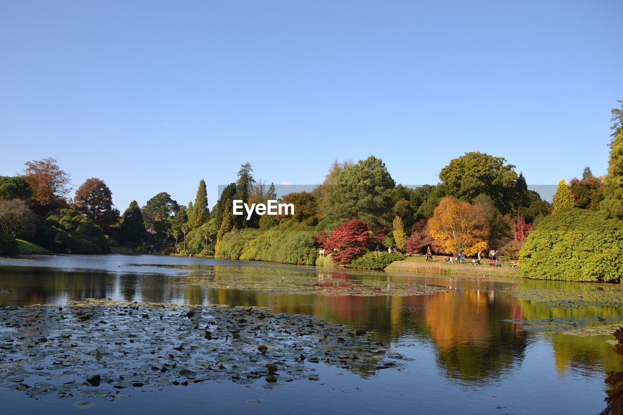 REFLECTION OF TREES IN LAKE AGAINST CLEAR BLUE SKY