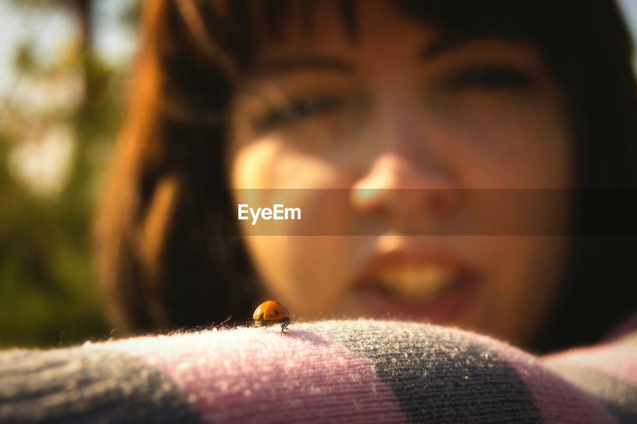 Close-up of ladybug on woman sweater
