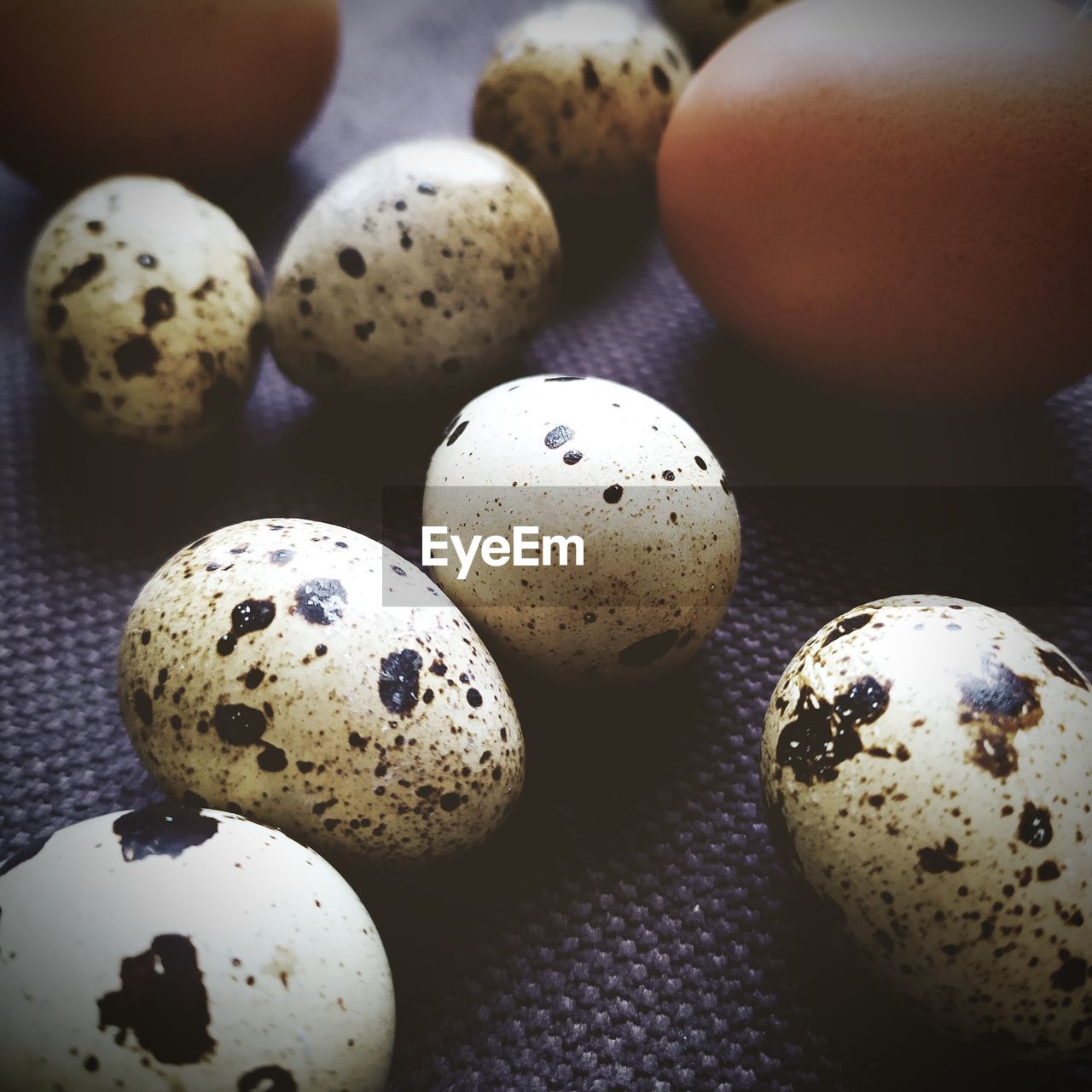 HIGH ANGLE VIEW OF EGGS ON WHITE TABLE