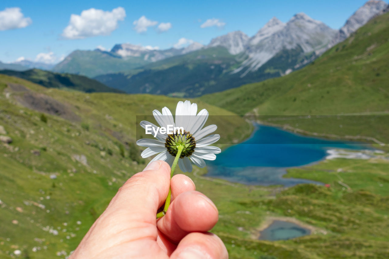 CROPPED IMAGE OF HAND HOLDING FLOWER AGAINST MOUNTAIN