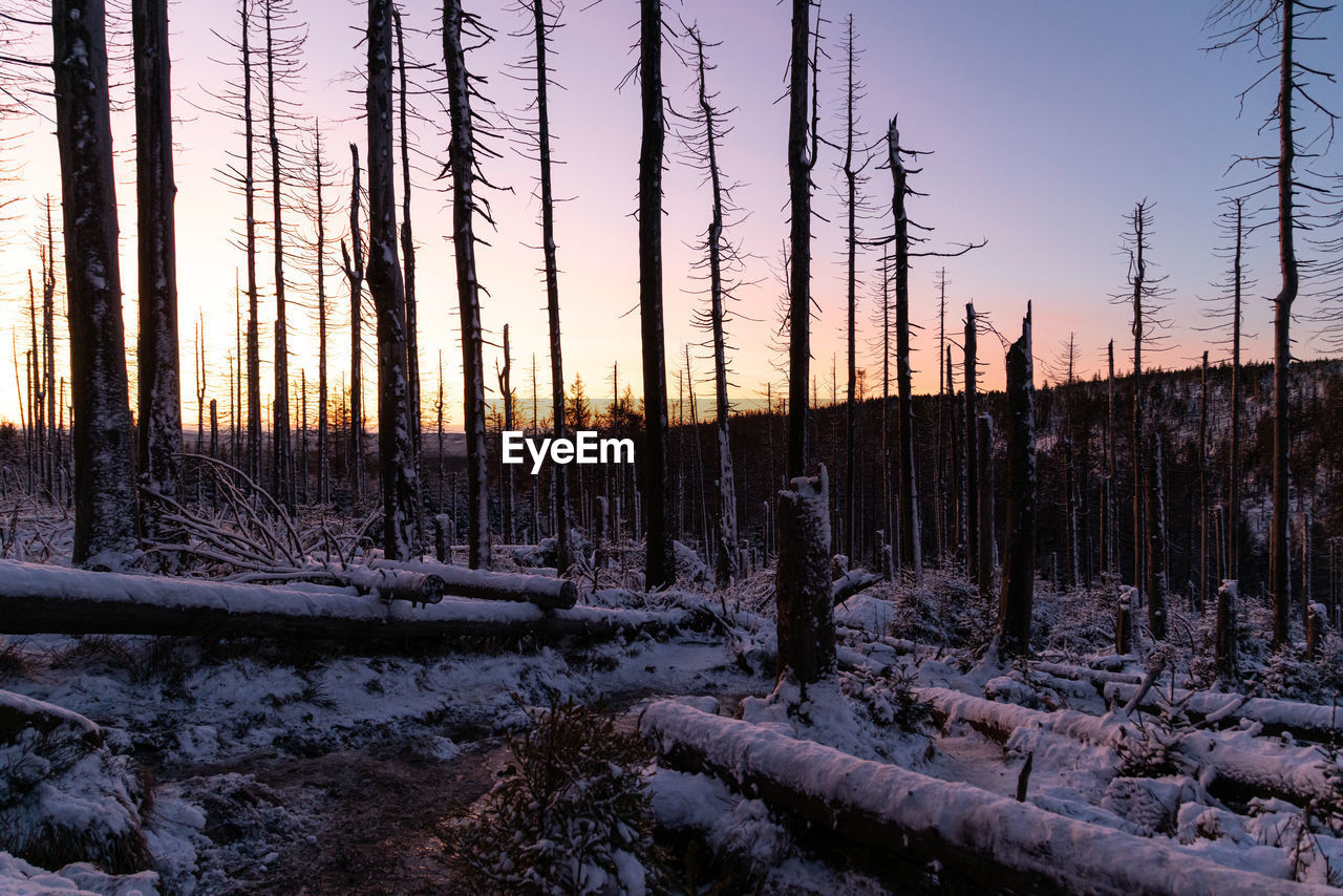 Scenic view of snow covered land during sunset