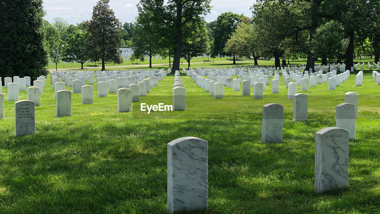 View of cemetery against trees