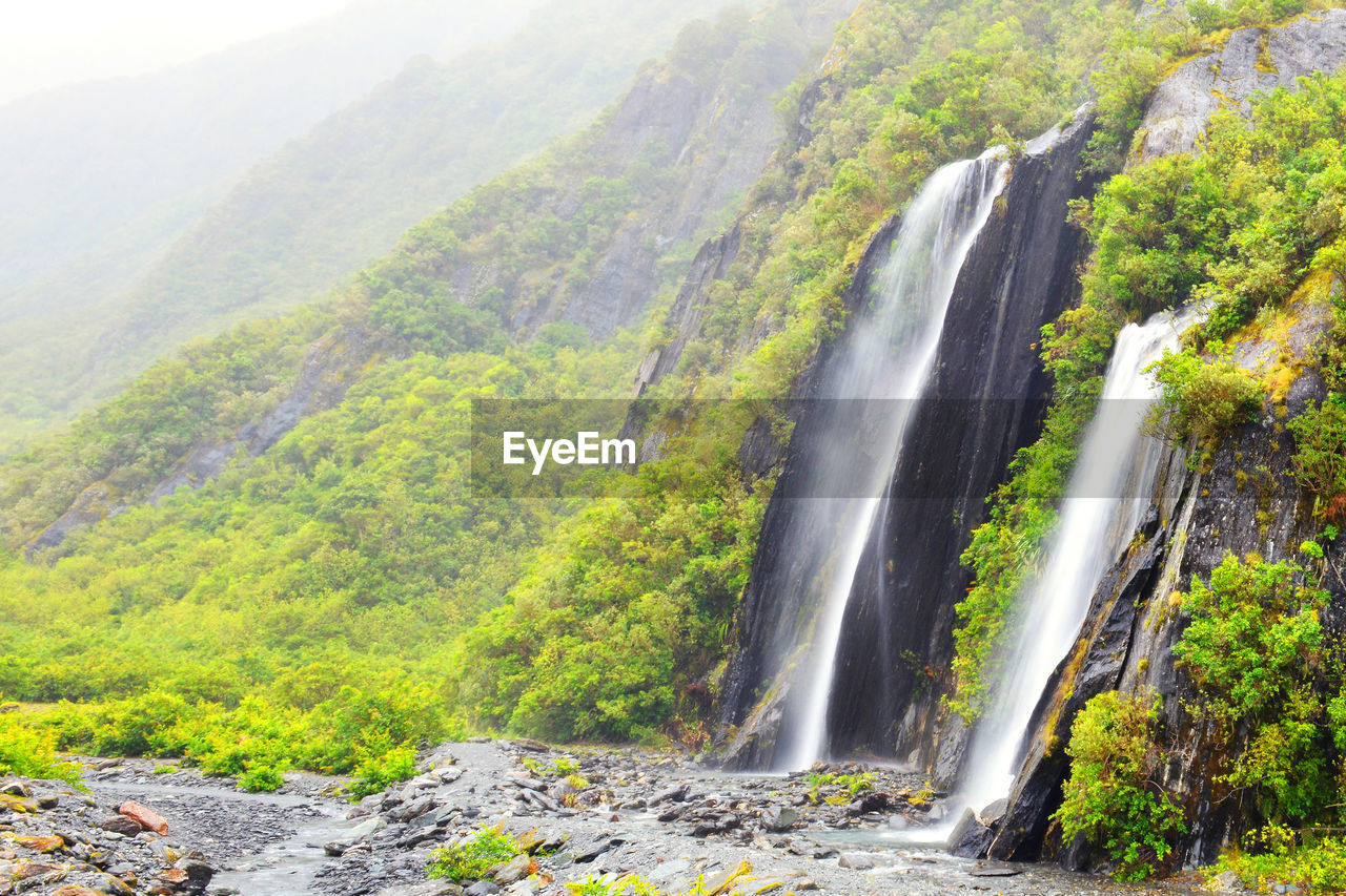 Scenic view of waterfall in forest